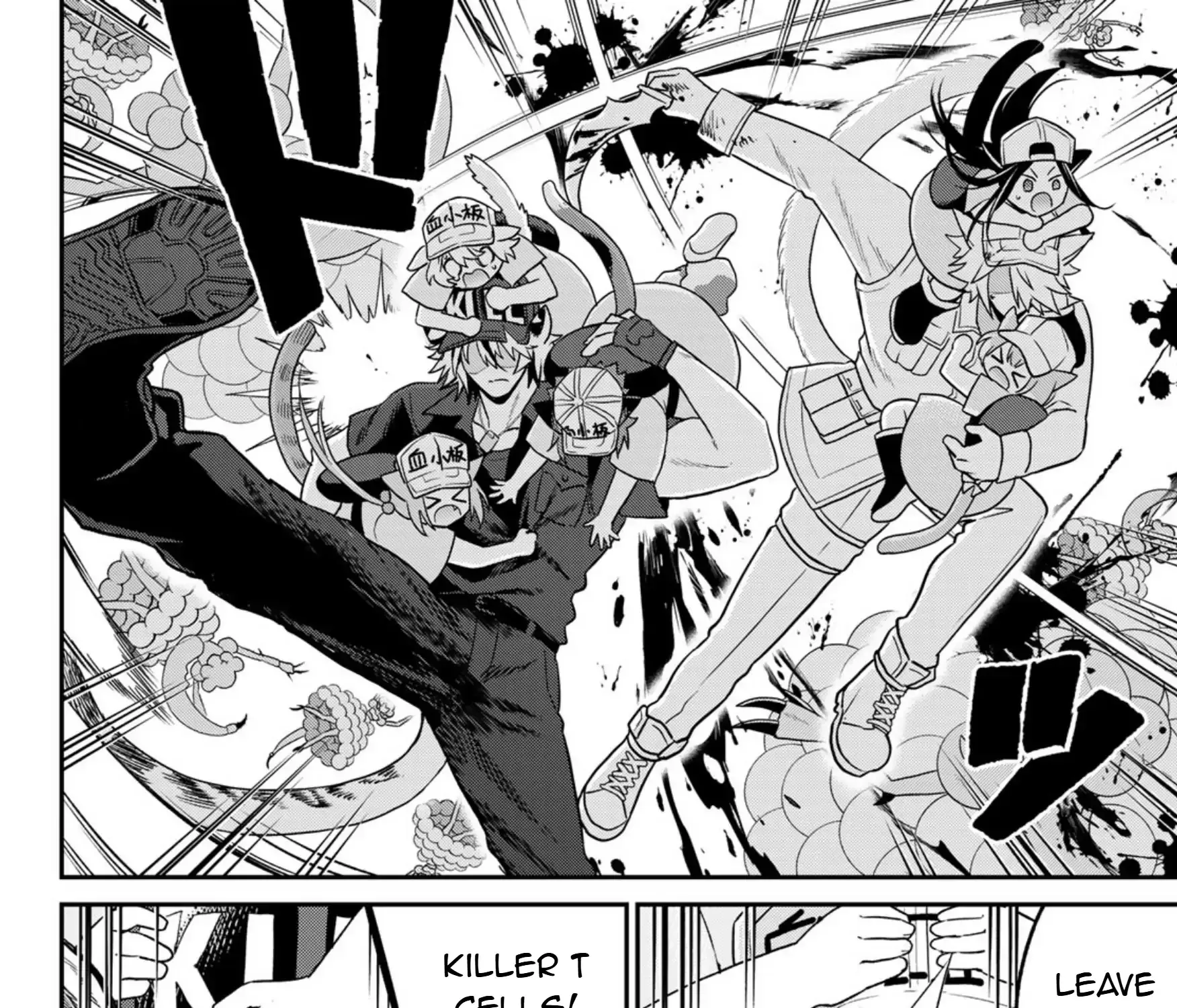 Read Cells at Work! Cat chapter 13 image 31 on Lezhin