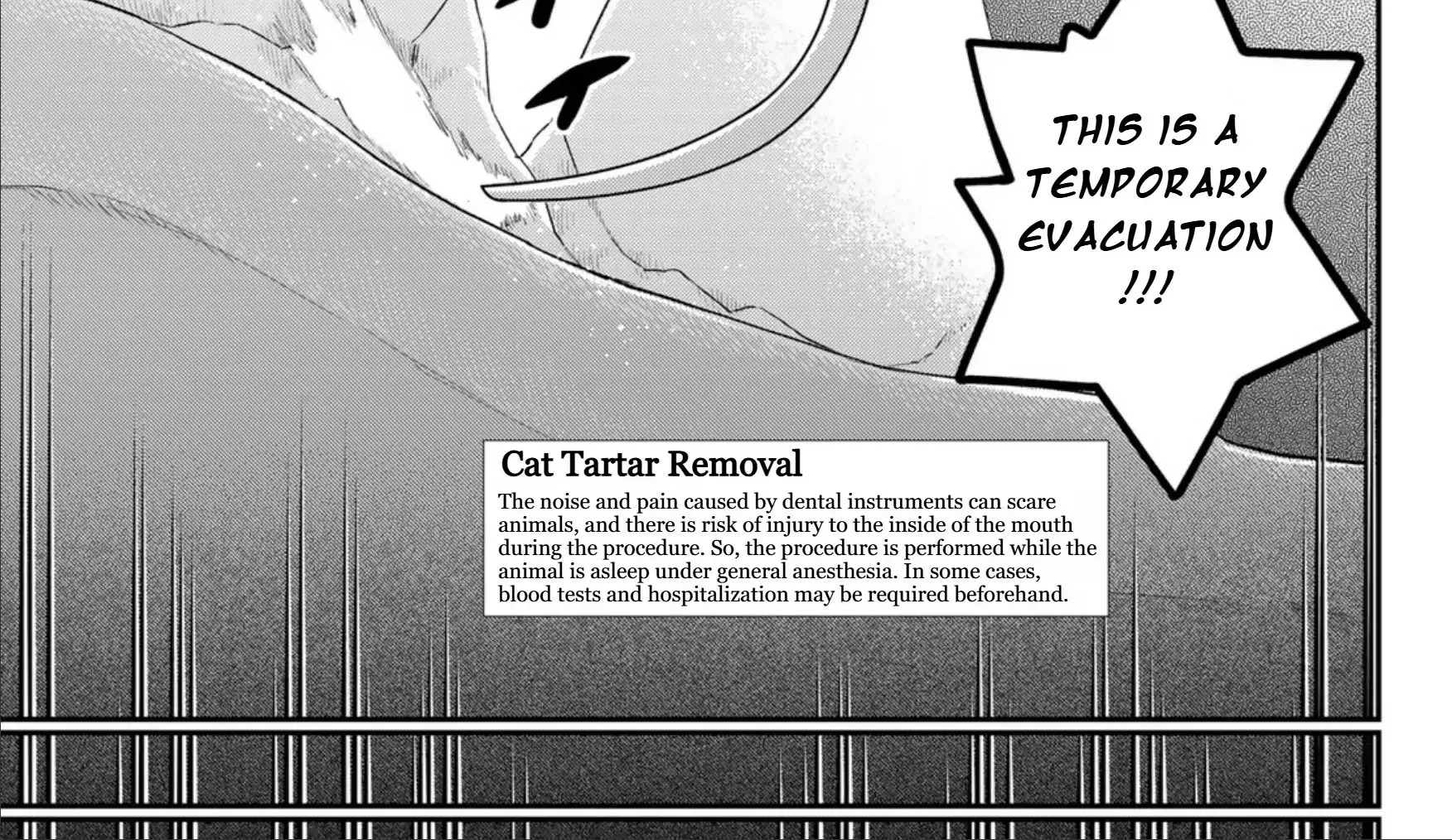 Read Cells at Work! Cat chapter 13 image 42 on Lezhin