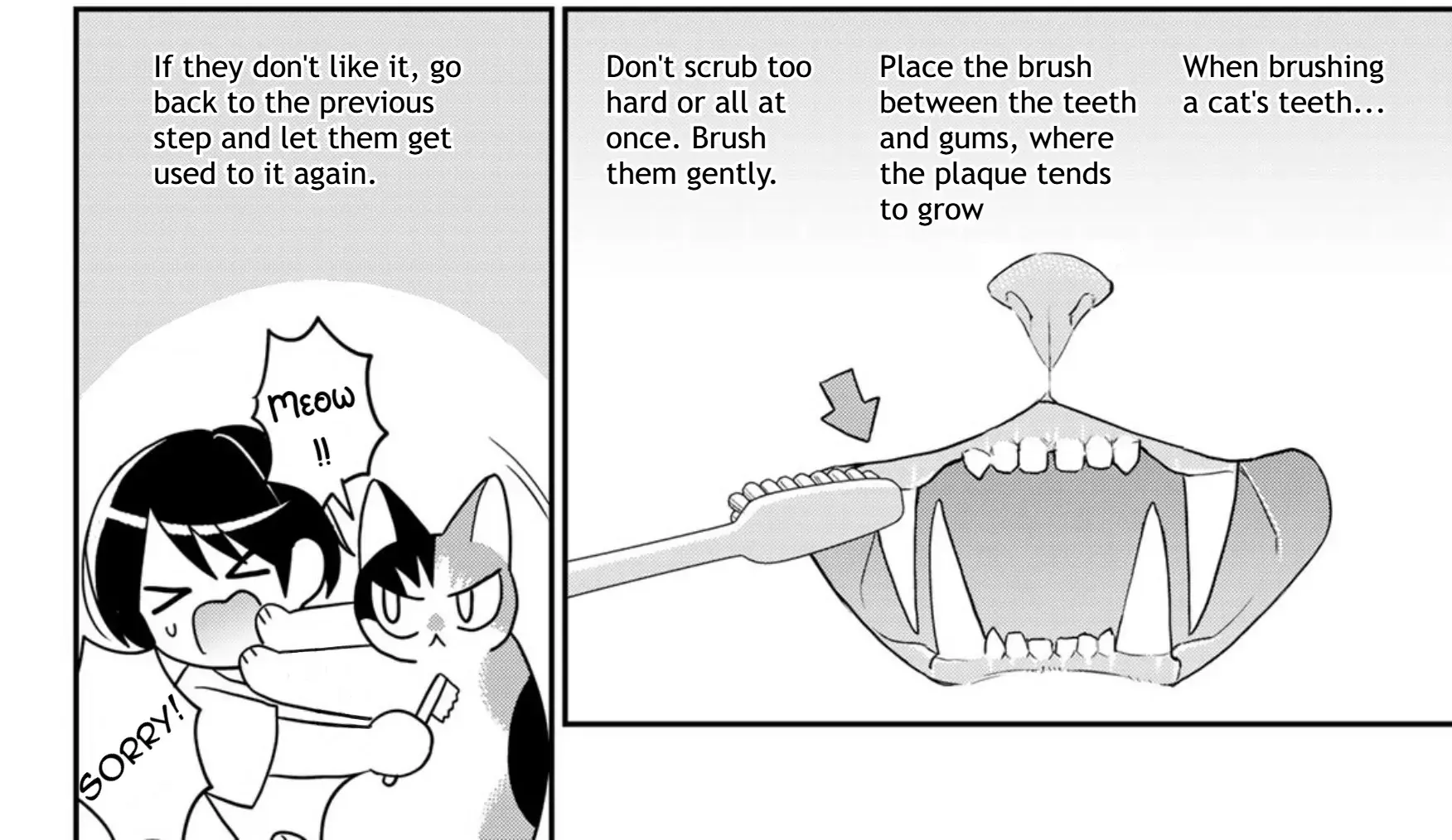 Read Cells at Work! Cat chapter 13 image 48 on Lezhin