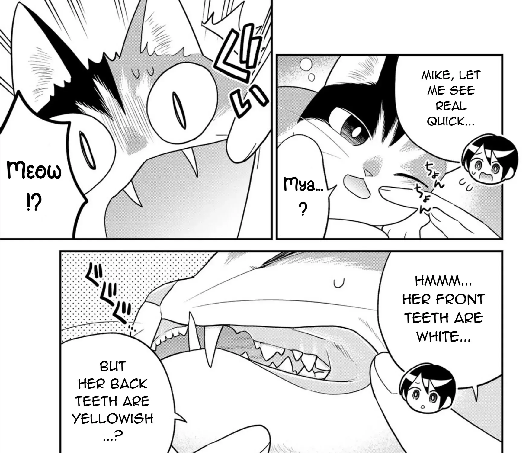 Read Cells at Work! Cat chapter 13 image 5 on Lezhin