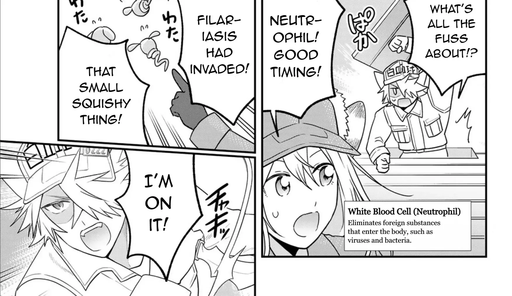 Read Cells at Work! Cat chapter 14 image 29 on Lezhin