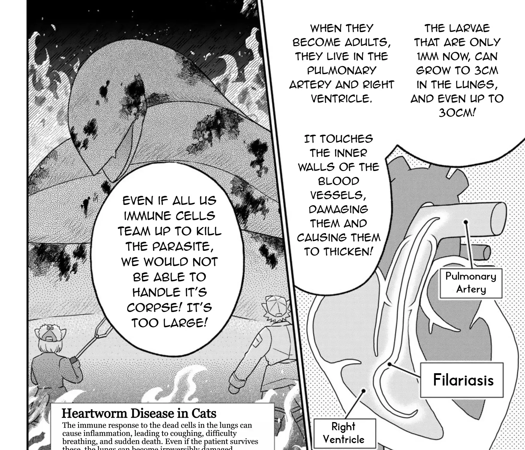 Read Cells at Work! Cat chapter 14 image 34 on Lezhin