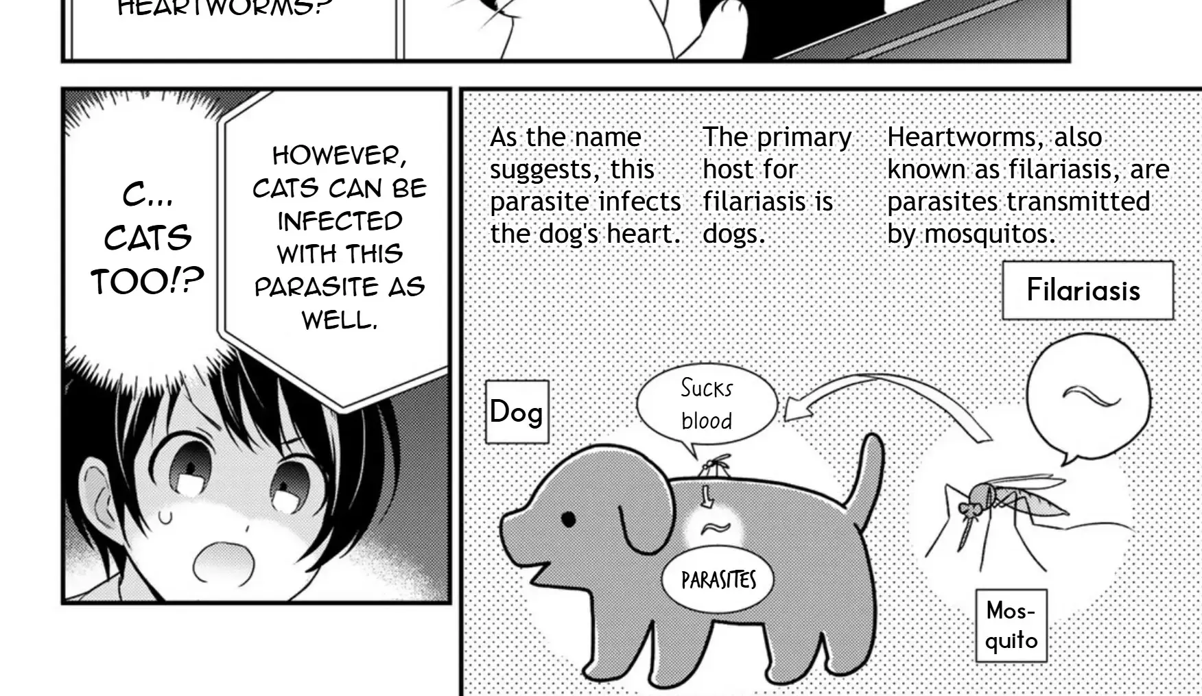 Read Cells at Work! Cat chapter 14 image 7 on Lezhin