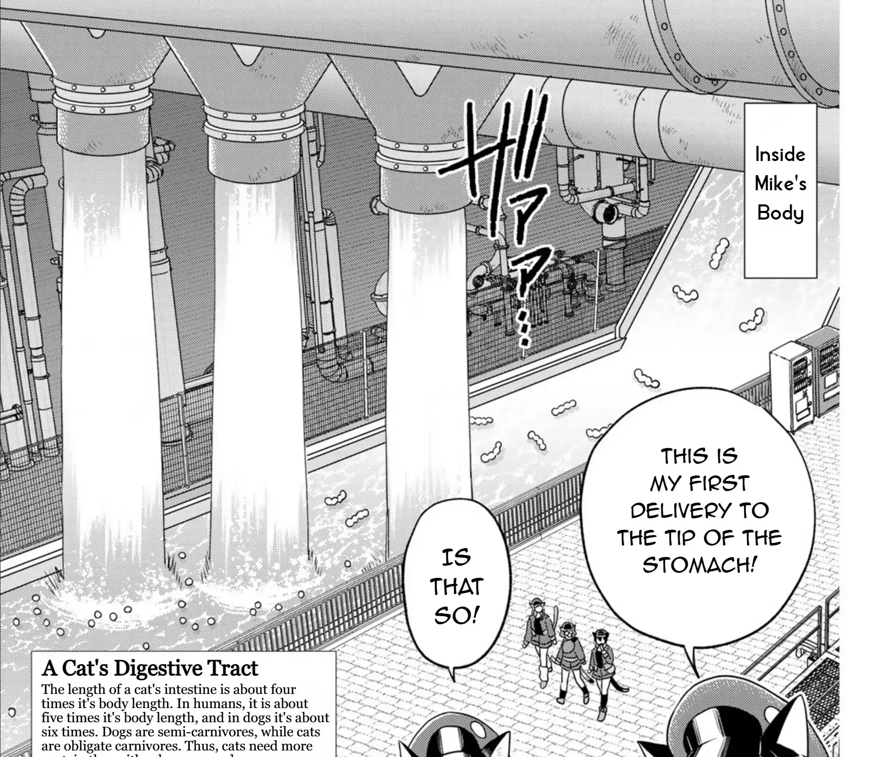 Read Cells at Work! Cat chapter 16 image 34 on Lezhin
