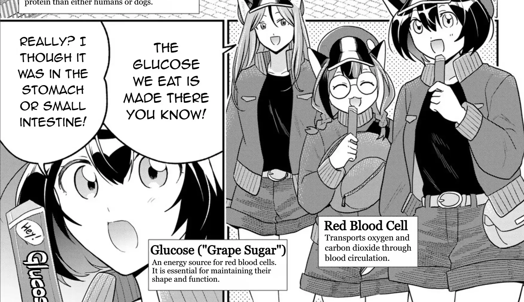Read Cells at Work! Cat chapter 16 image 35 on Lezhin