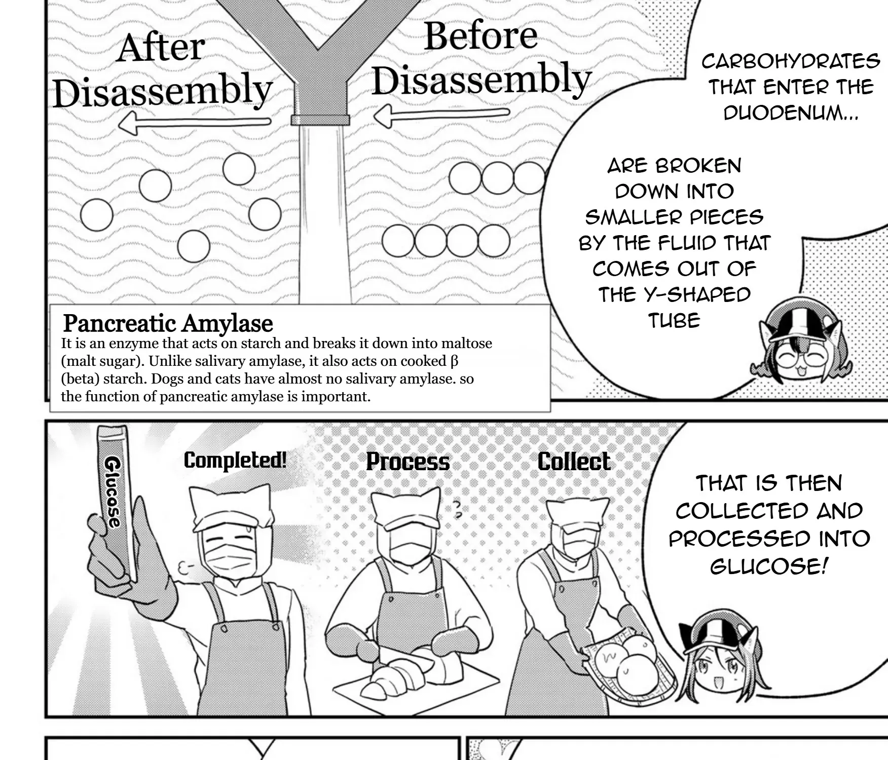 Read Cells at Work! Cat chapter 16 image 36 on Lezhin