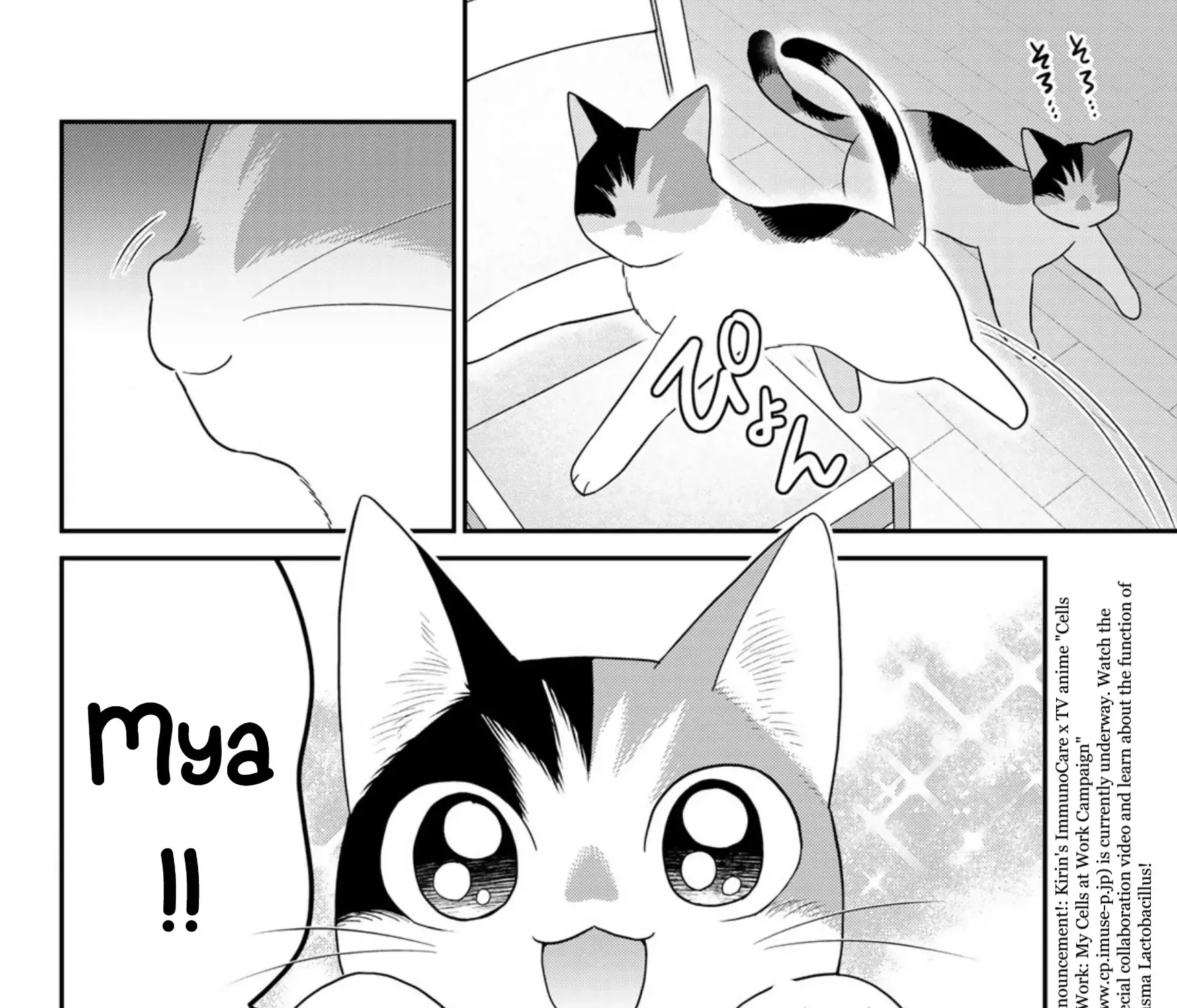 Read Cells at Work! Cat chapter 16 image 4 on Lezhin