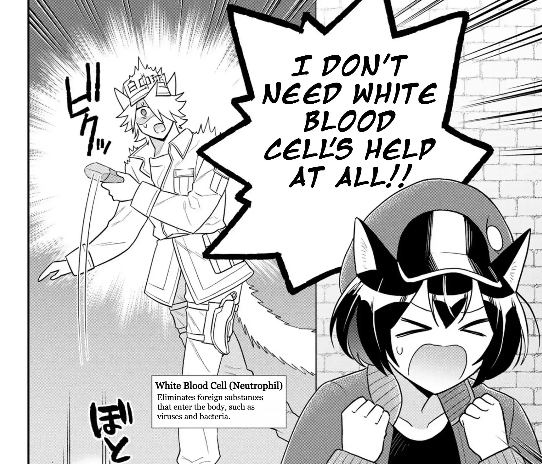 Read Cells at Work! Cat chapter 16 image 40 on Lezhin