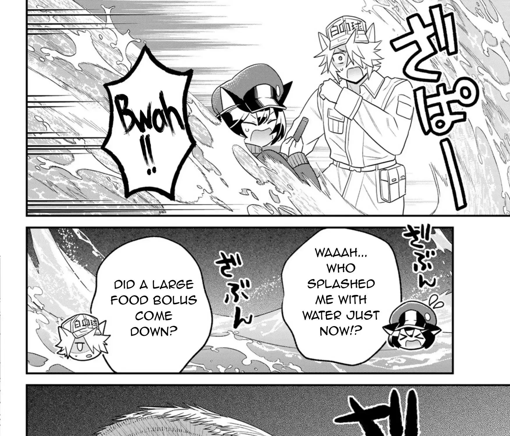 Read Cells at Work! Cat chapter 16 image 48 on Lezhin