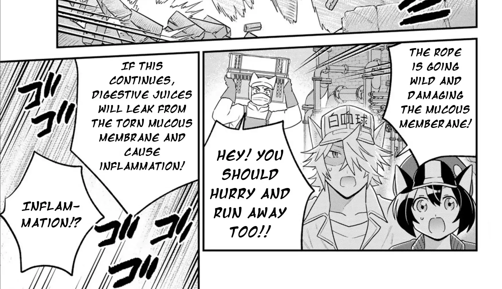 Read Cells at Work! Cat chapter 16 image 55 on Lezhin