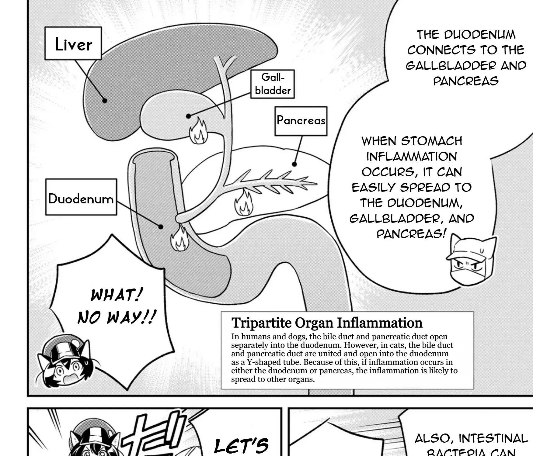 Read Cells at Work! Cat chapter 16 image 56 on Lezhin