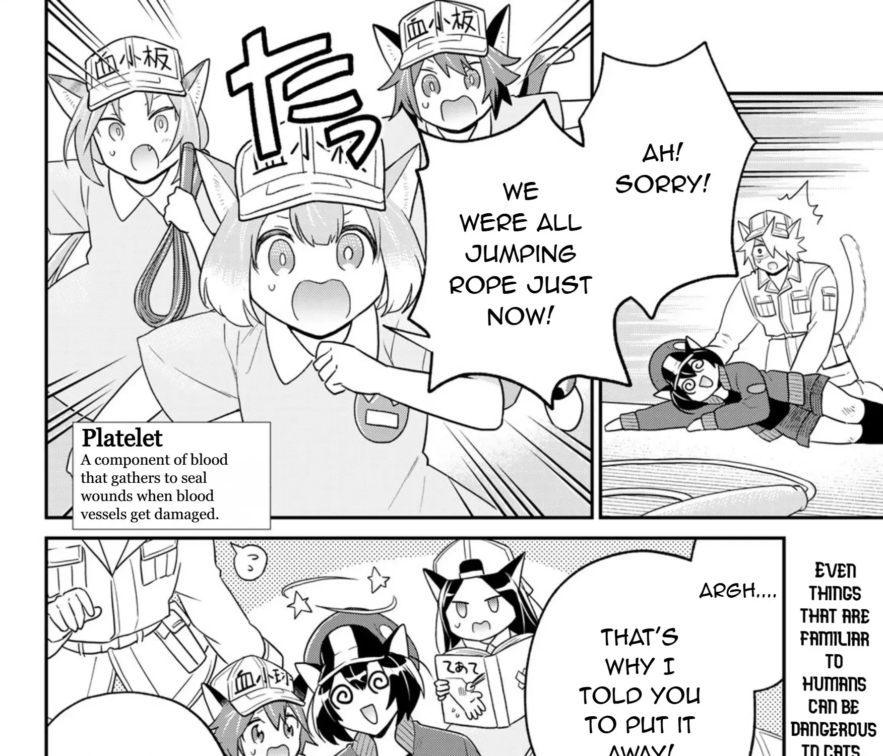 Read Cells at Work! Cat chapter 16 image 72 on Lezhin