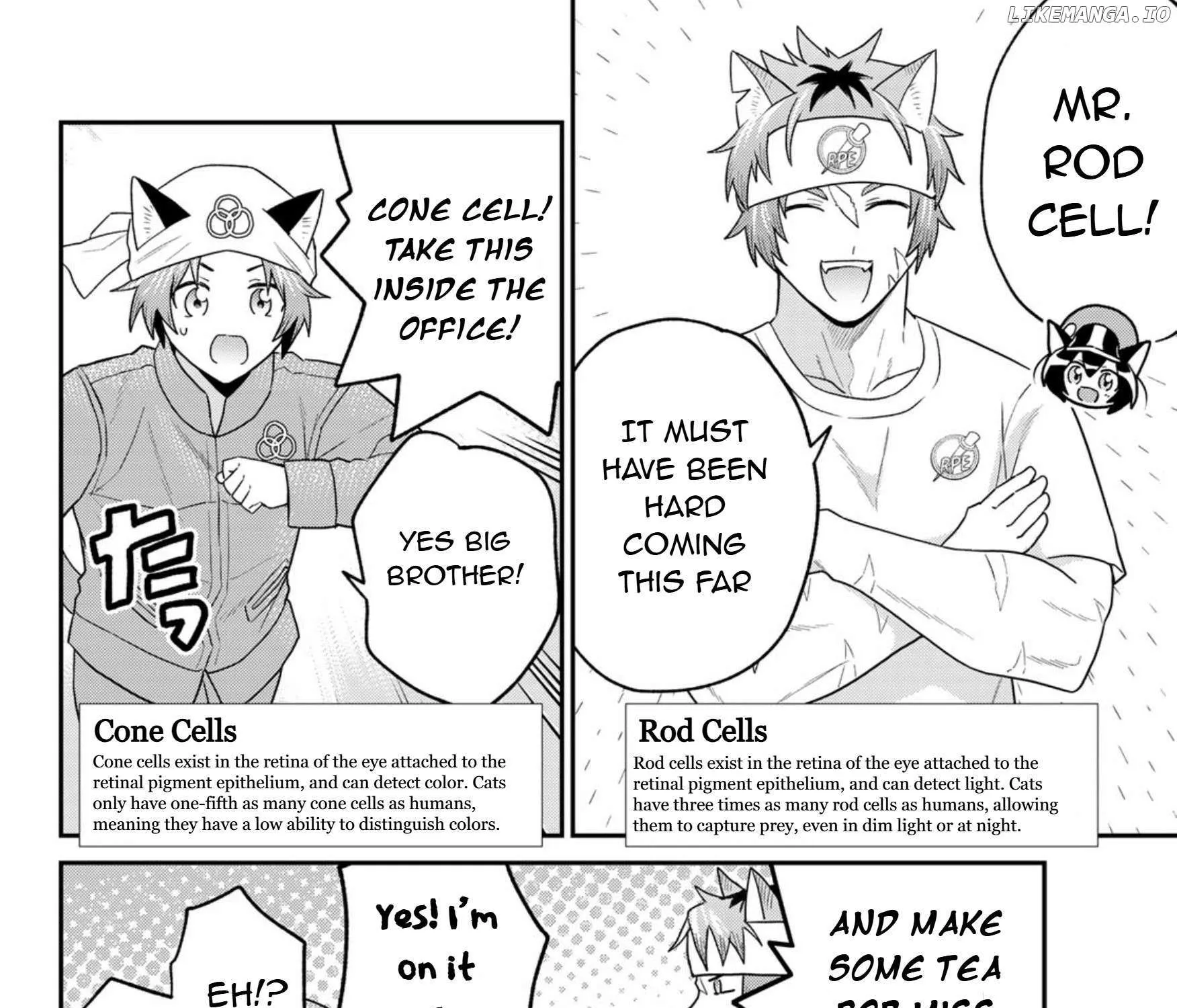 Read Cells at Work! Cat chapter 17 image 10 on Lezhin