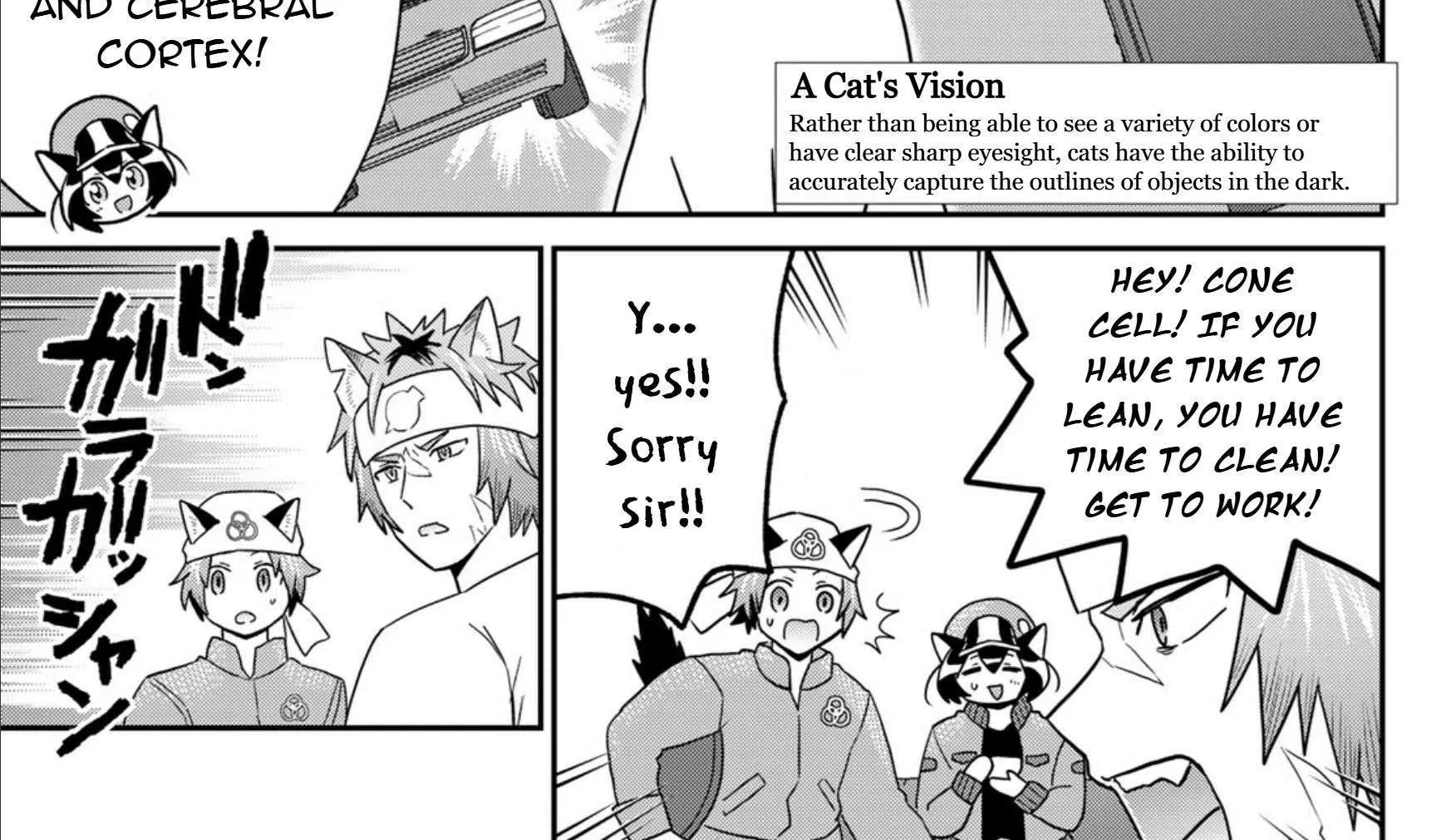 Read Cells at Work! Cat chapter 17 image 13 on Lezhin