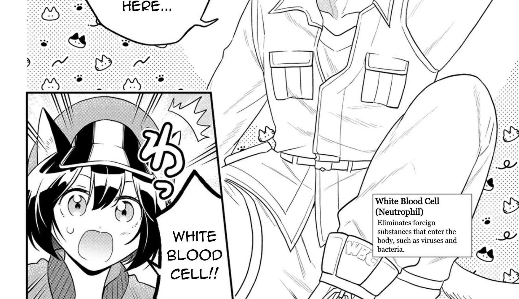 Read Cells at Work! Cat chapter 17 image 15 on Lezhin
