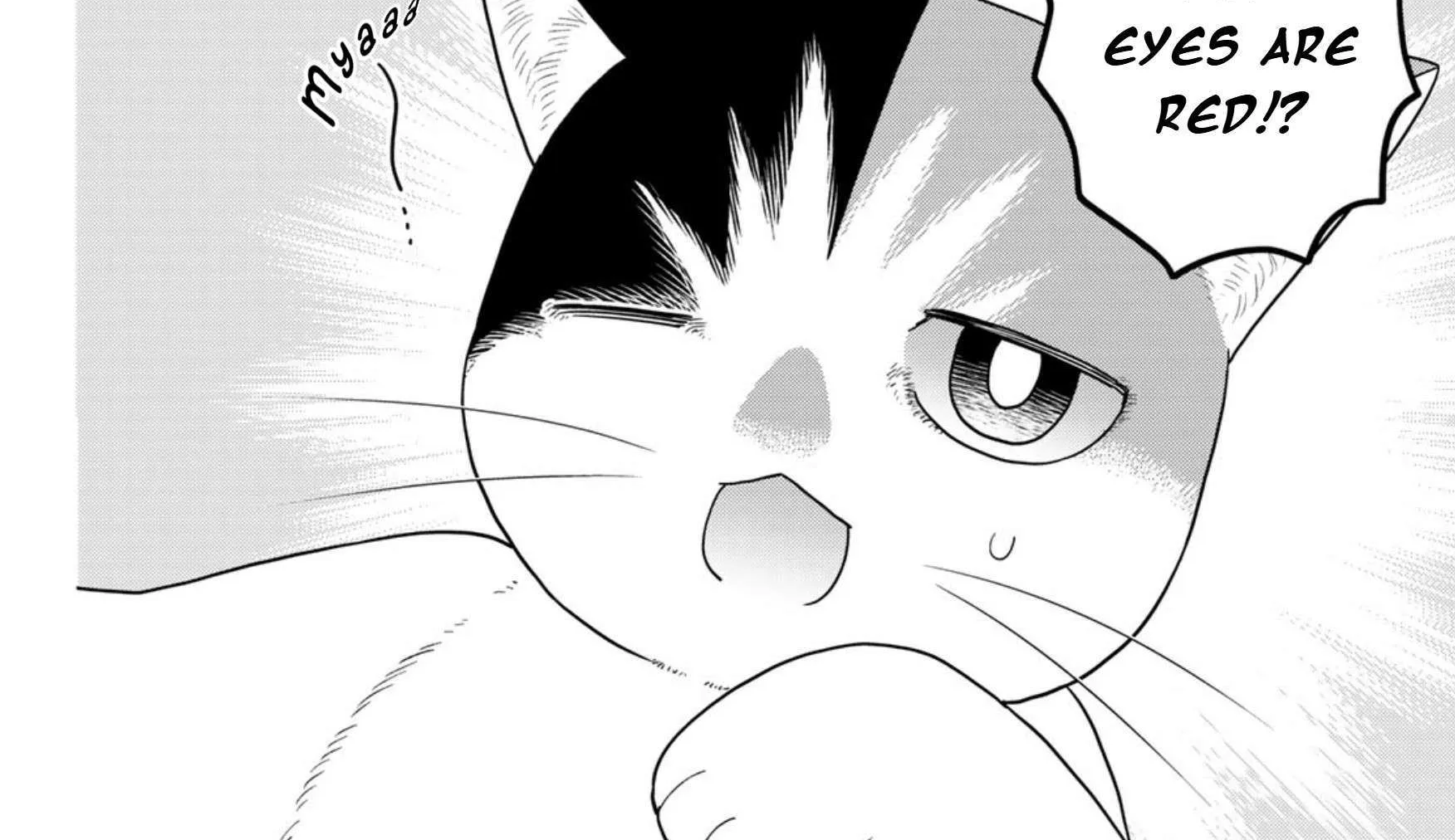 Read Cells at Work! Cat chapter 17 image 3 on Lezhin
