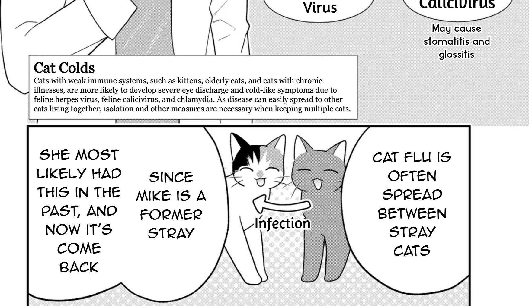 Read Cells at Work! Cat chapter 17 image 63 on Lezhin