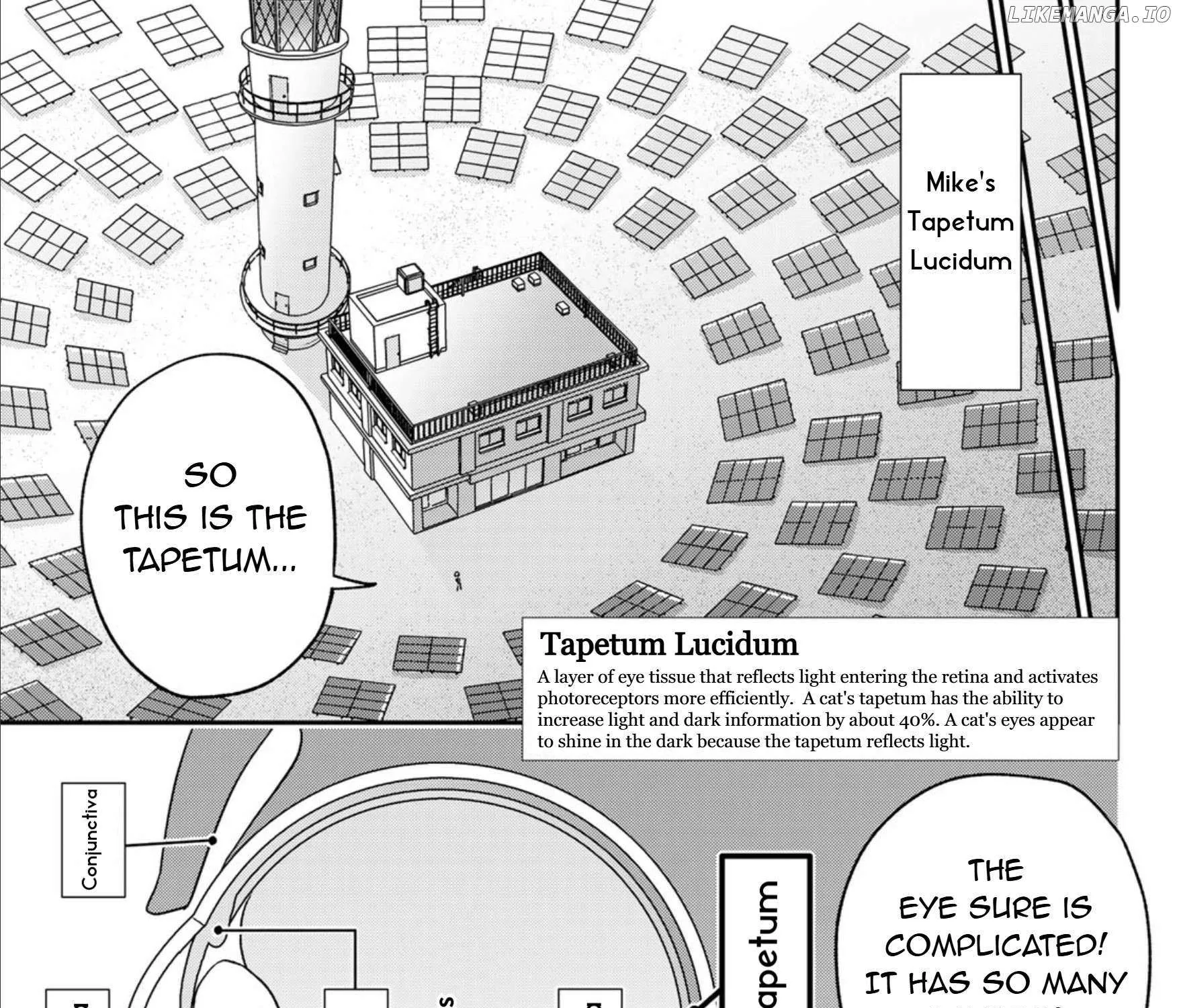 Read Cells at Work! Cat chapter 17 image 8 on Lezhin