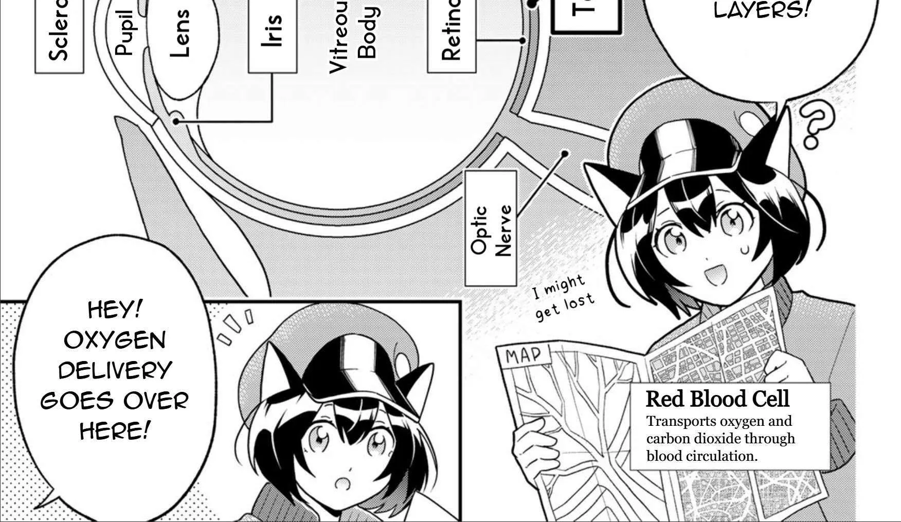 Read Cells at Work! Cat chapter 17 image 9 on Lezhin