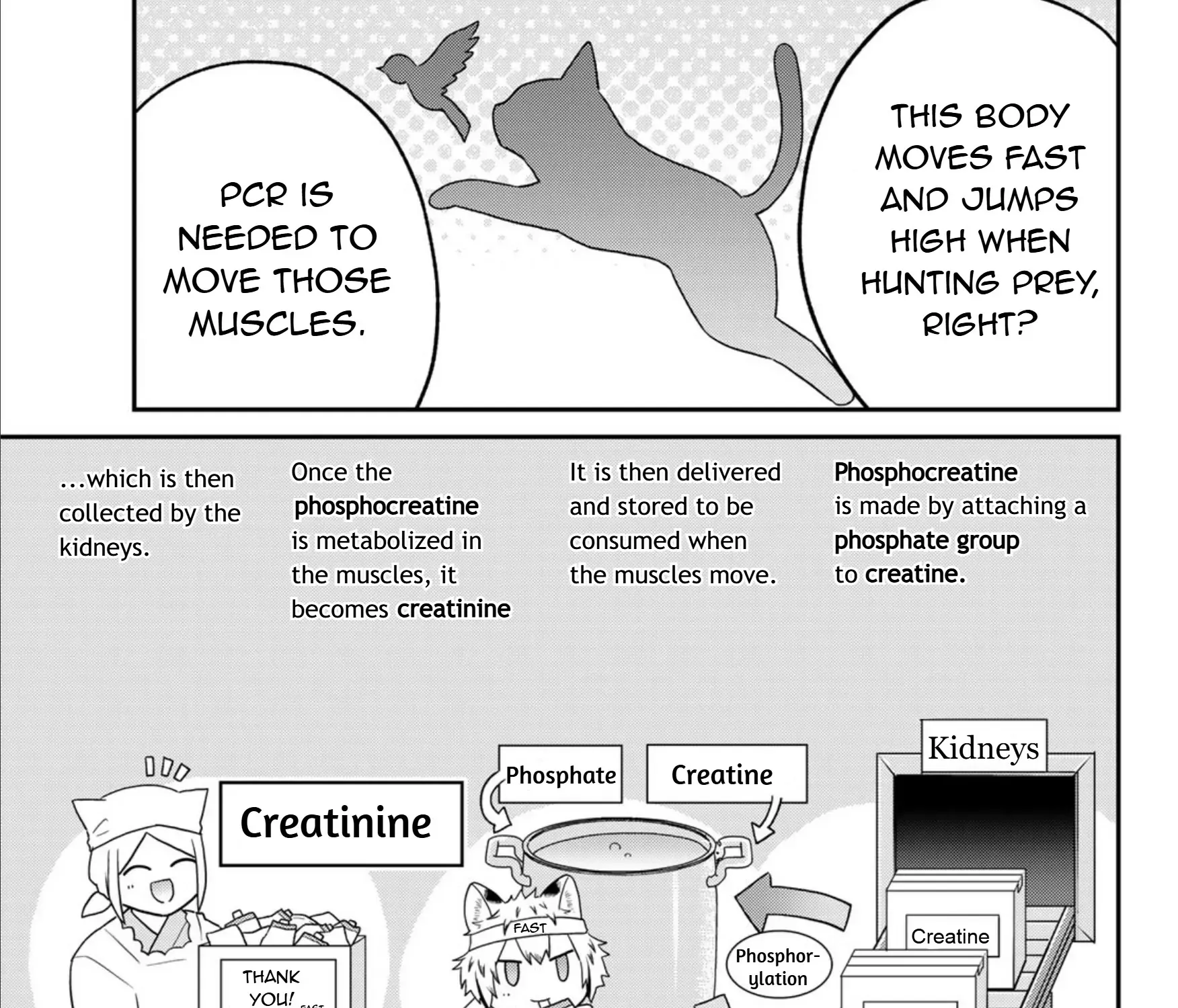 Read Cells at Work! Cat chapter 18 image 33 on Lezhin
