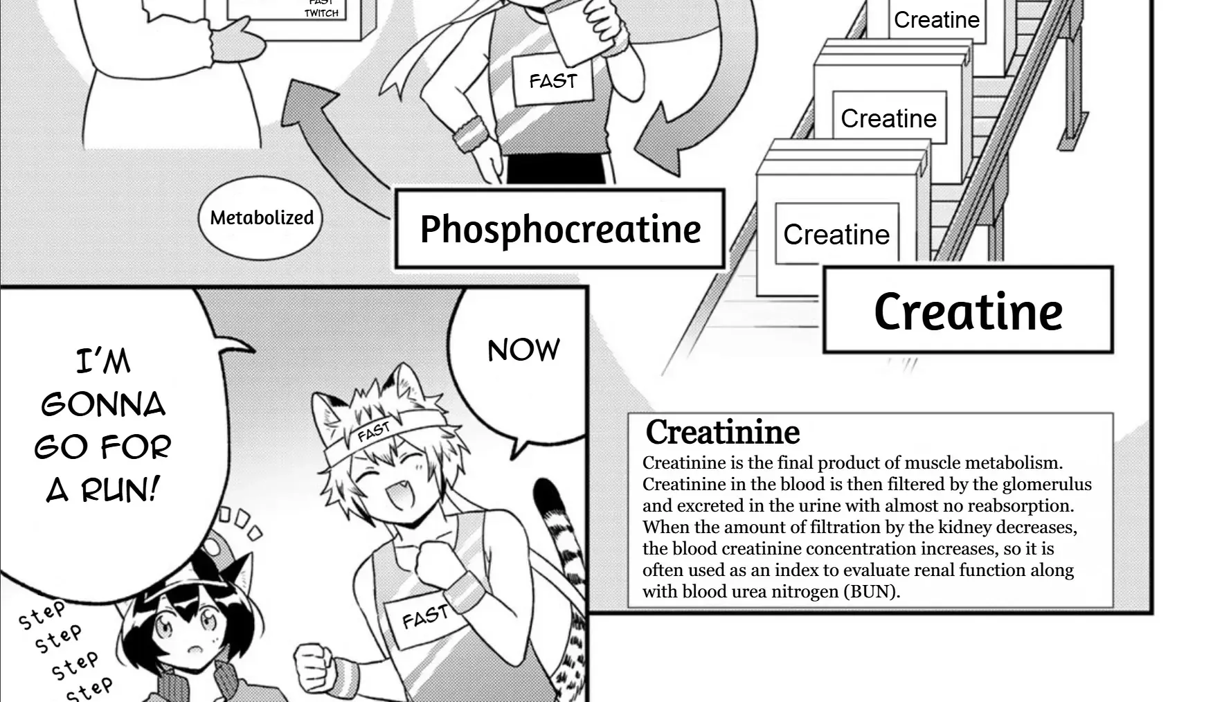 Read Cells at Work! Cat chapter 18 image 34 on Lezhin