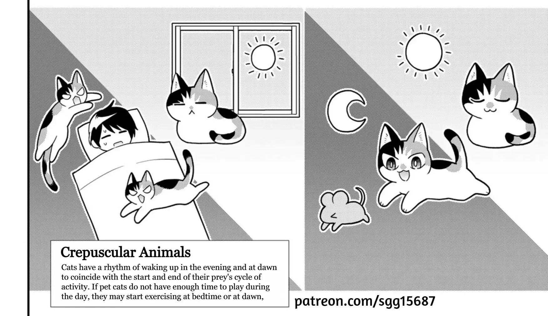 Read Cells at Work! Cat chapter 18 image 40 on Lezhin