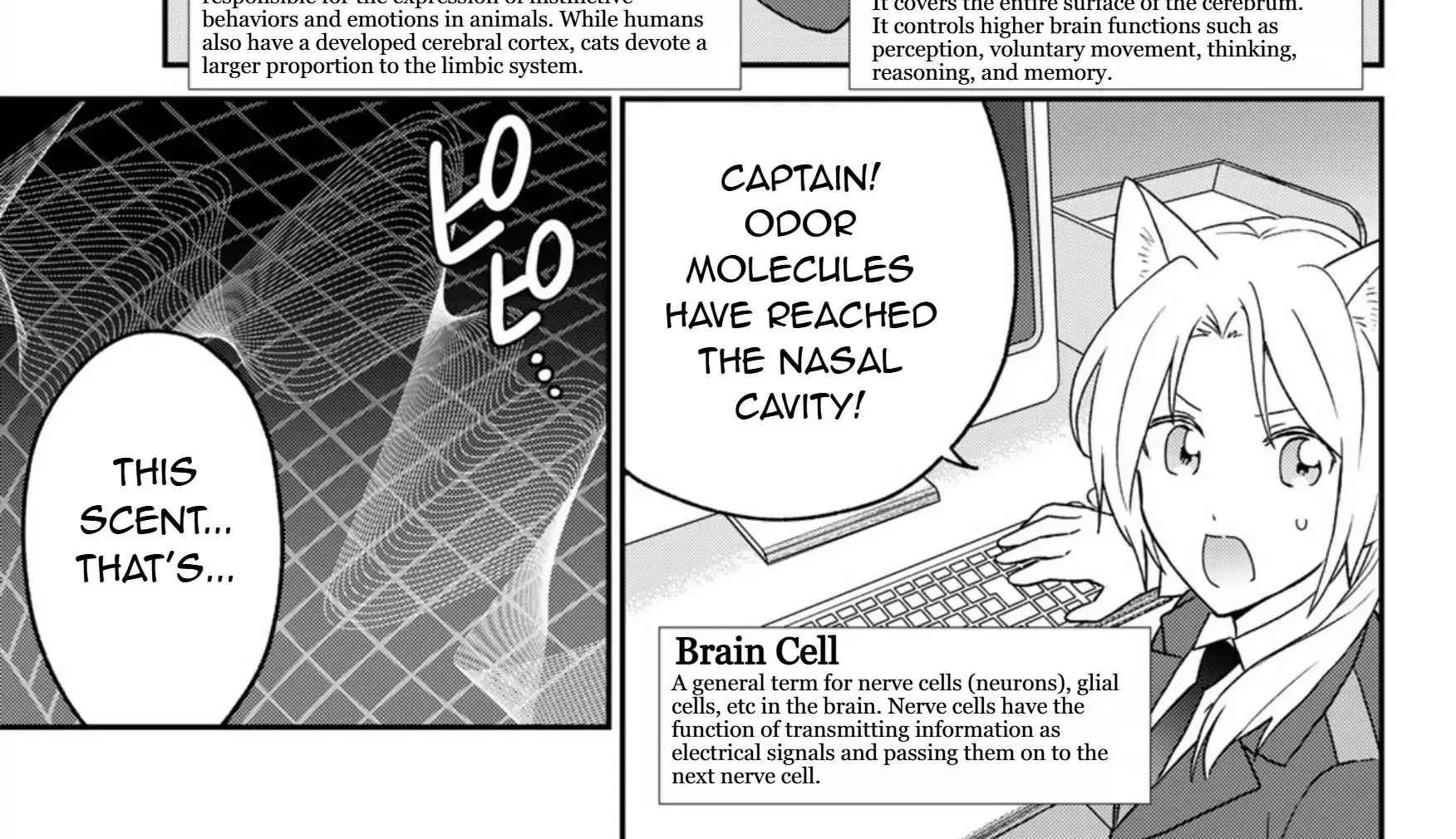 Read Cells at Work! Cat chapter 19 image 6 on Lezhin