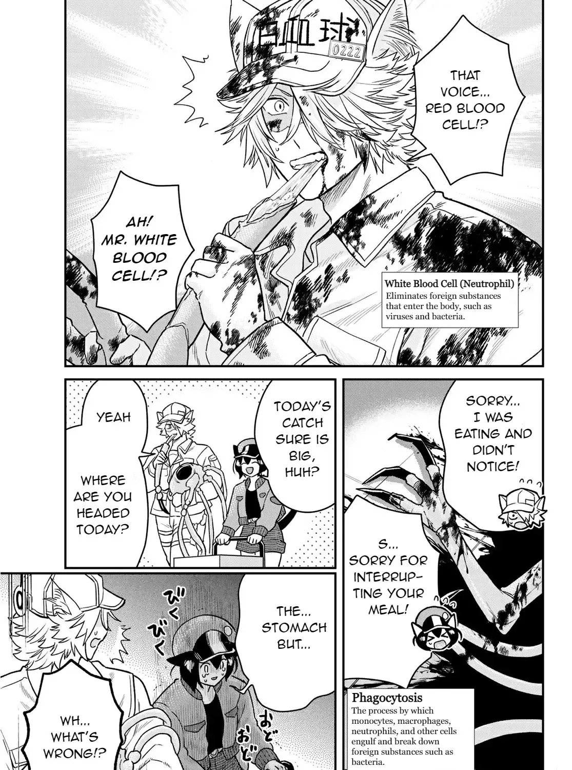 Read Cells at Work! Cat chapter 2 image 19 on Lezhin