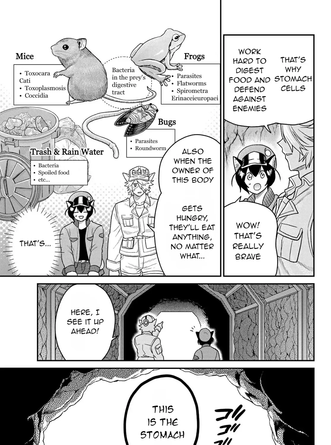 Read Cells at Work! Cat chapter 2 image 23 on Lezhin