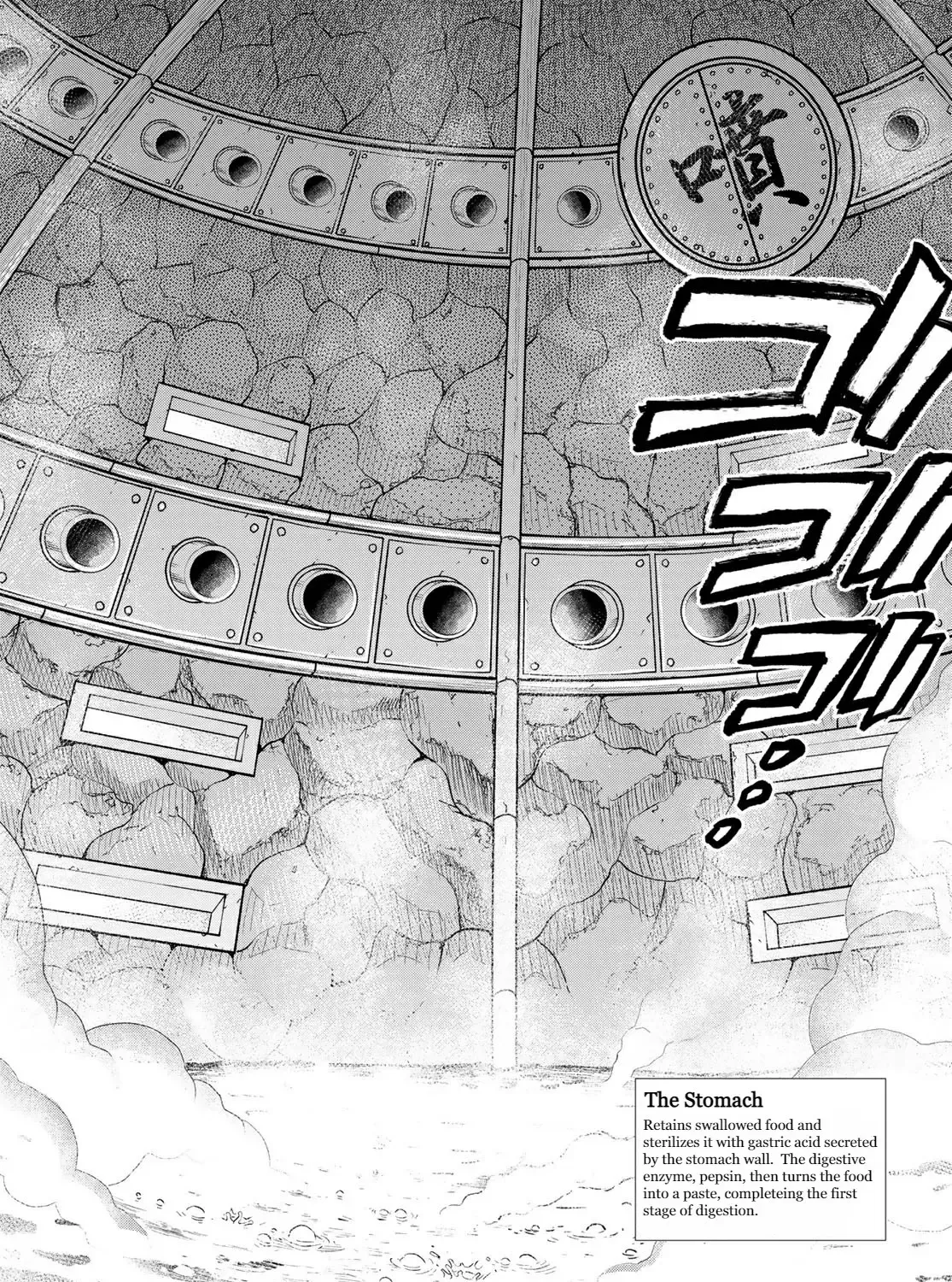 Read Cells at Work! Cat chapter 2 image 25 on Lezhin