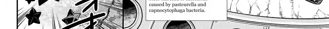 Read Cells at Work! Cat chapter 2 image 30 on Lezhin