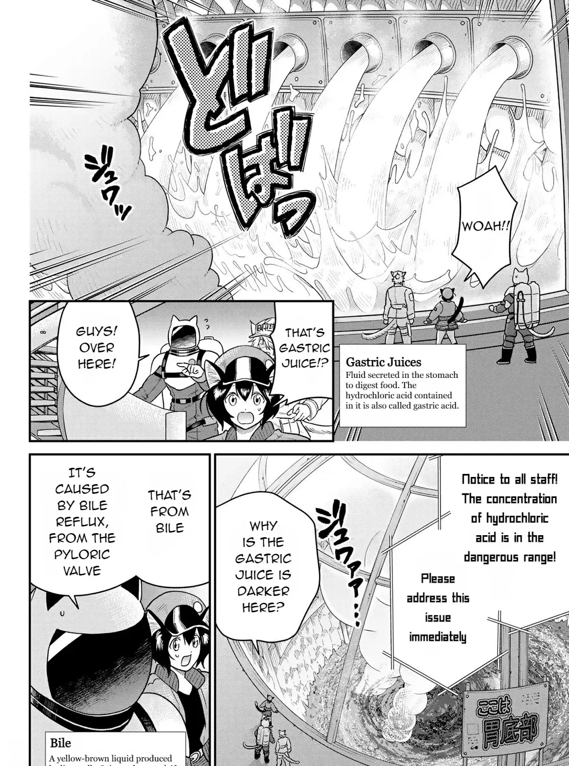 Read Cells at Work! Cat chapter 2 image 37 on Lezhin