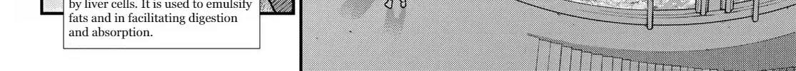 Read Cells at Work! Cat chapter 2 image 38 on Lezhin