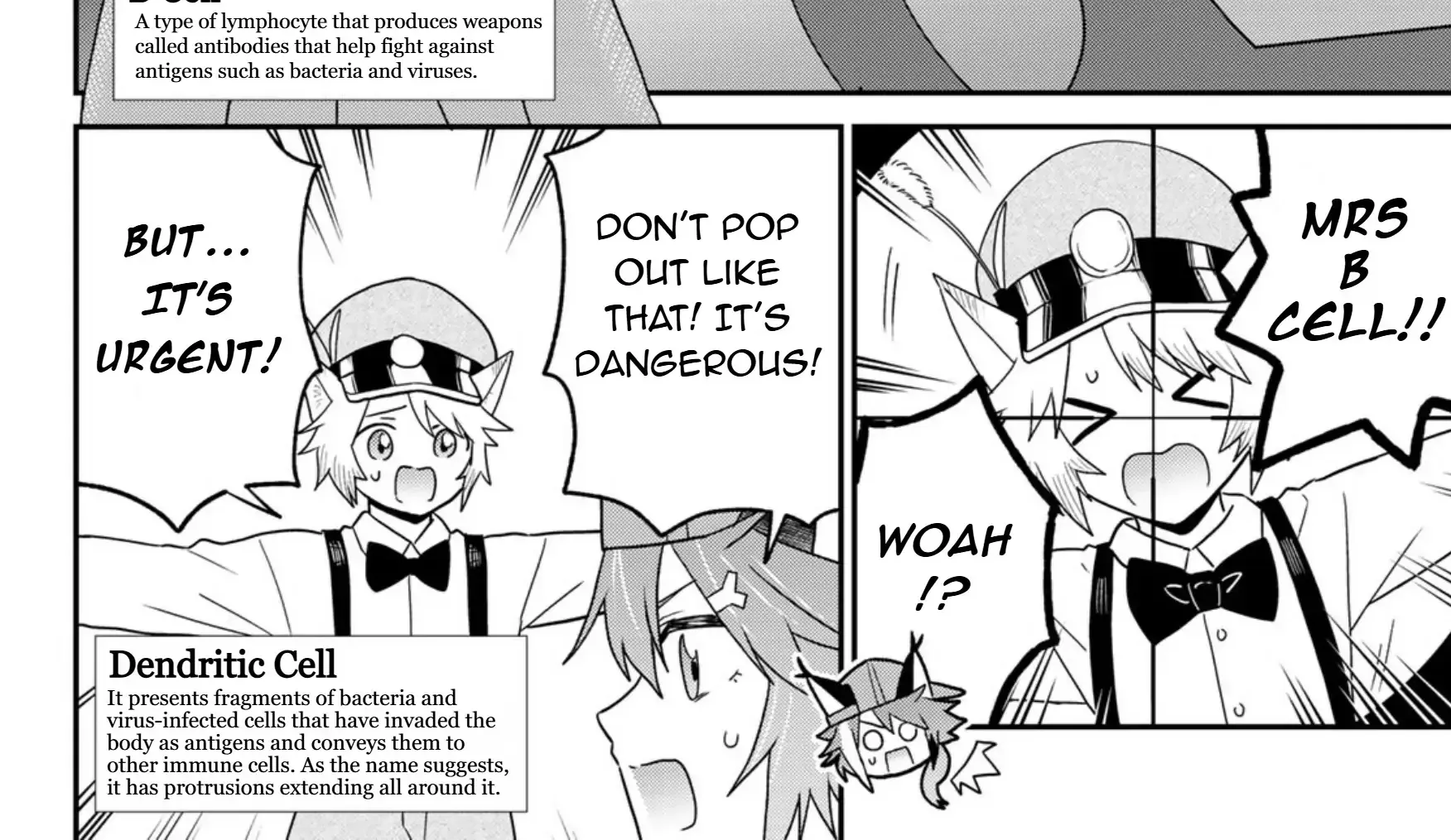Read Cells at Work! Cat chapter 20 image 15 on Lezhin