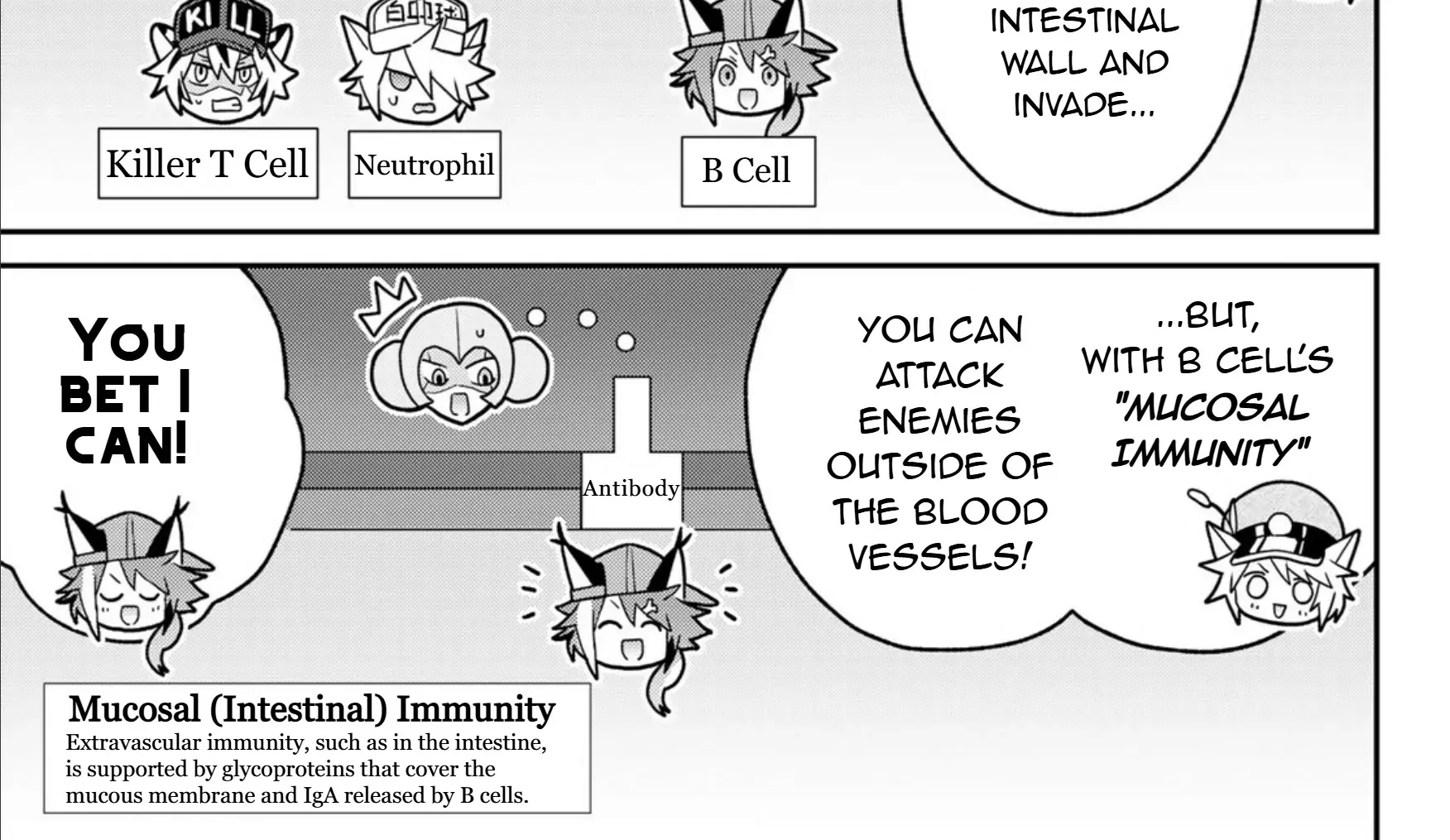 Read Cells at Work! Cat chapter 20 image 17 on Lezhin