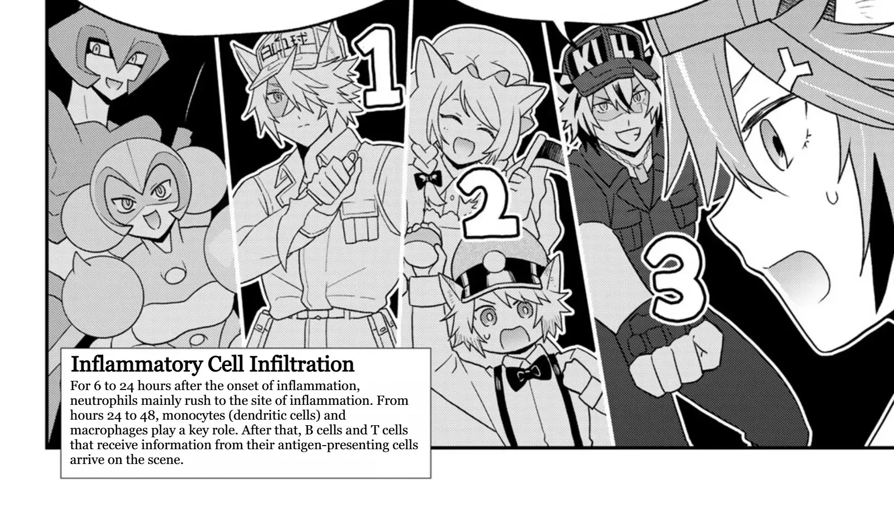 Read Cells at Work! Cat chapter 20 image 23 on Lezhin