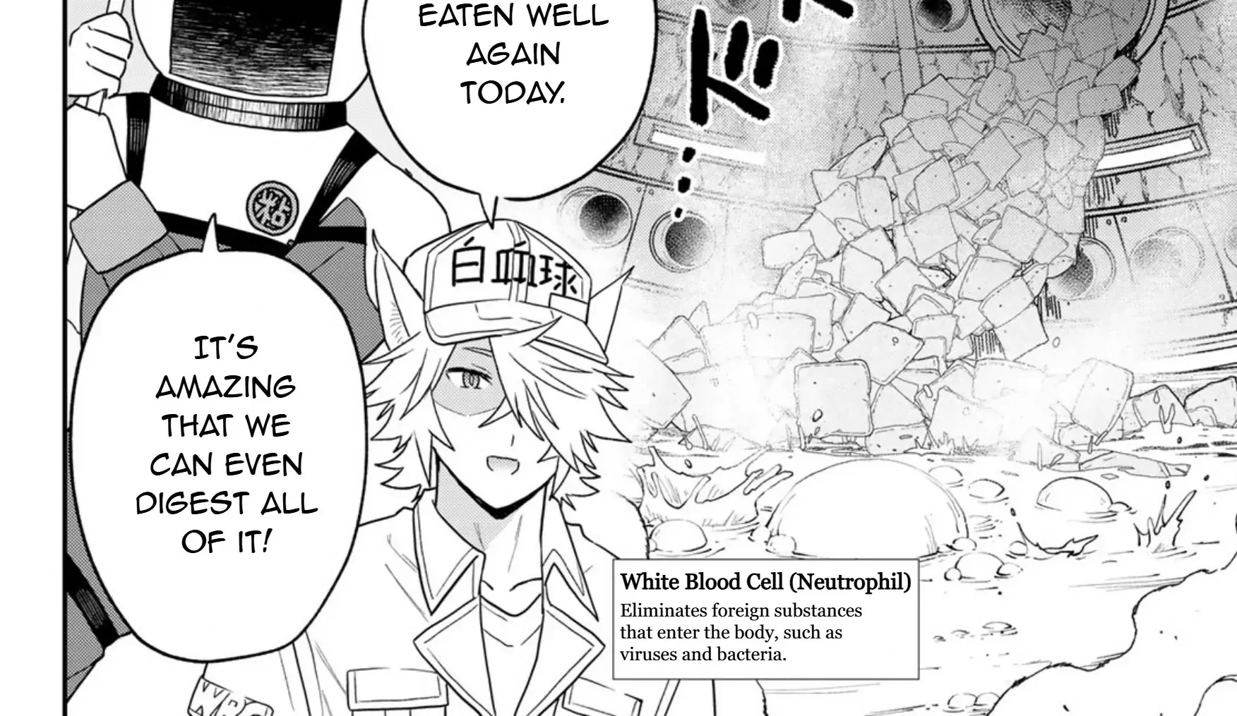 Read Cells at Work! Cat chapter 20 image 7 on Lezhin