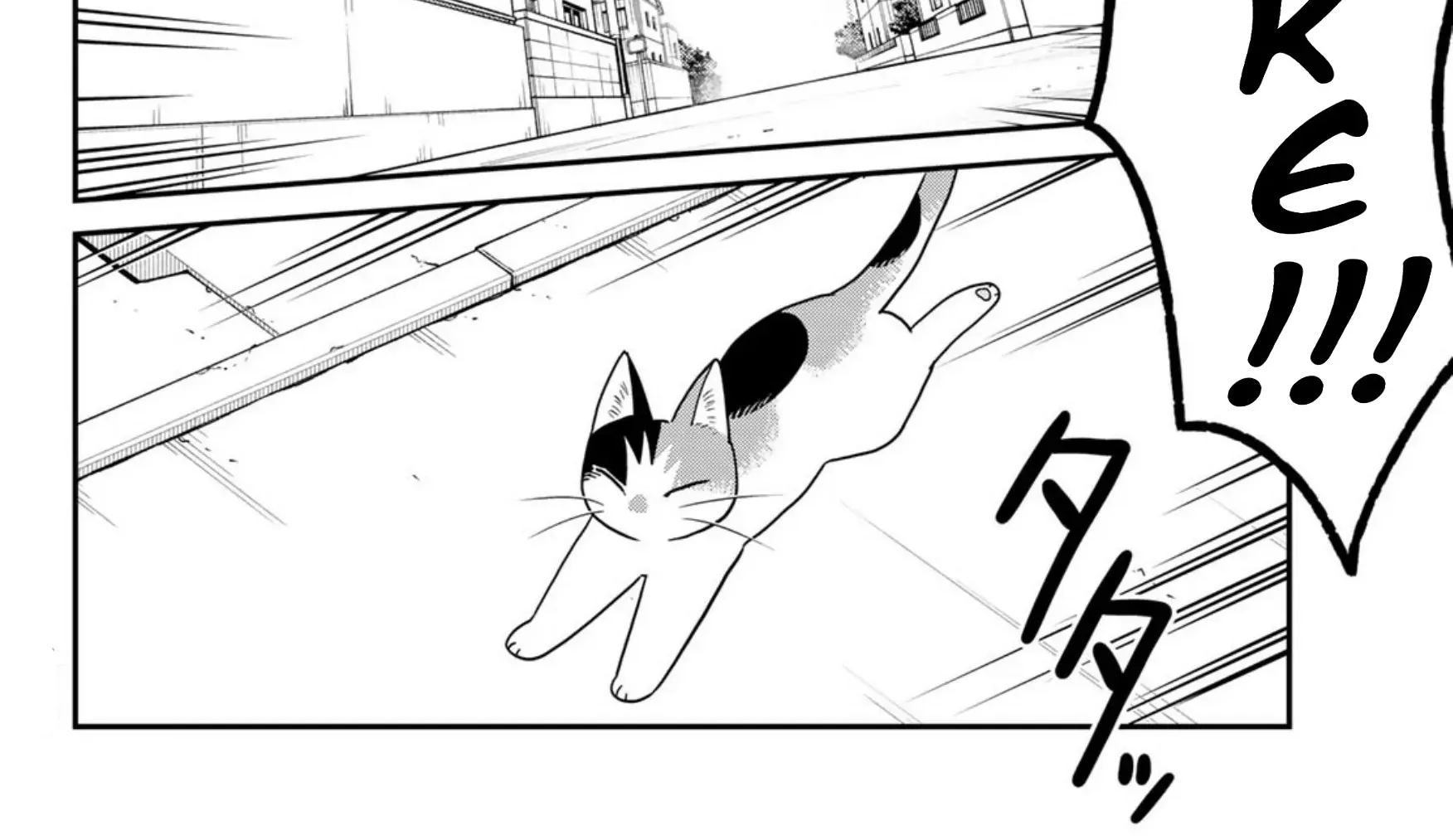 Read Cells at Work! Cat chapter 21 image 11 on Lezhin