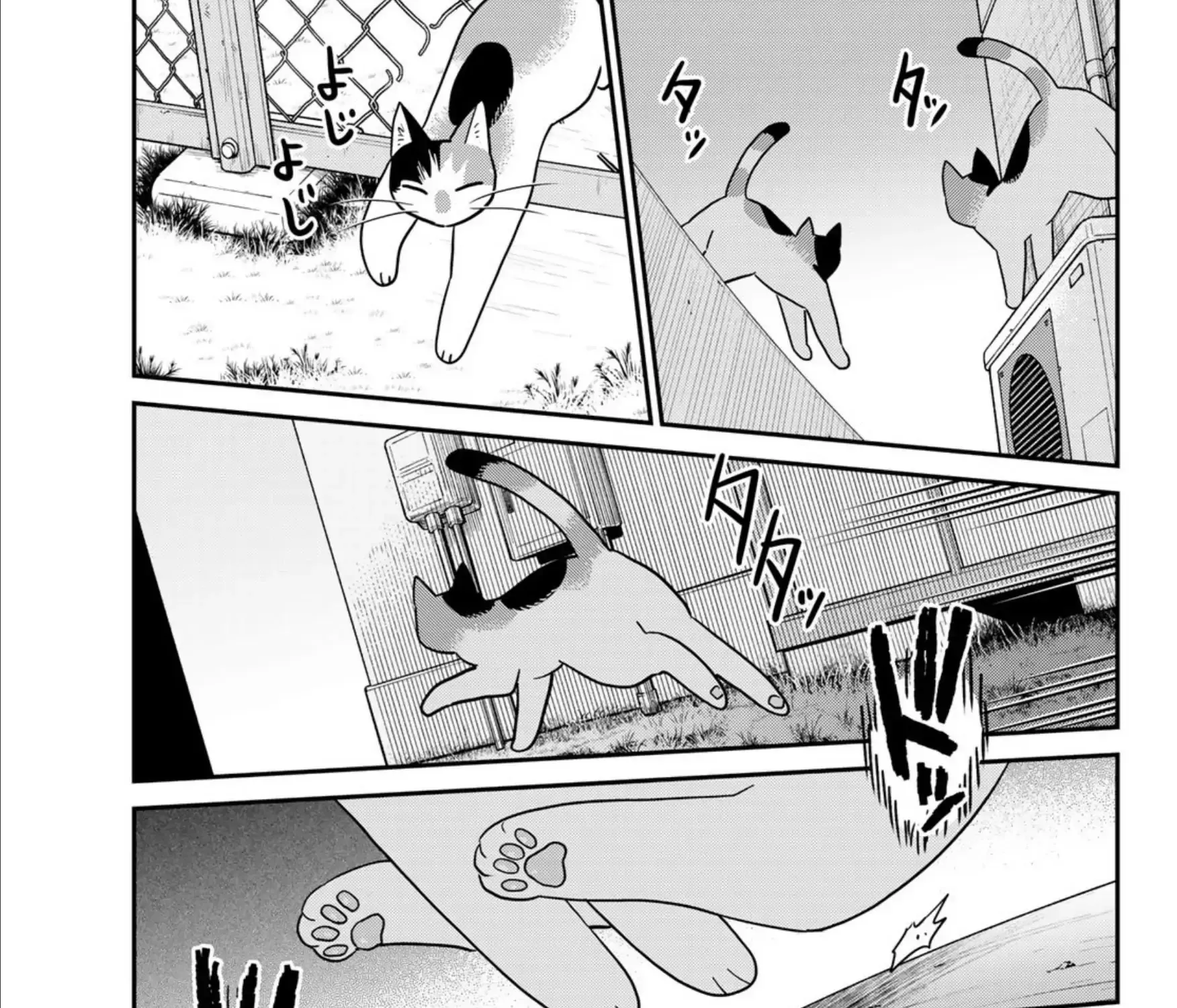 Read Cells at Work! Cat chapter 21 image 12 on Lezhin