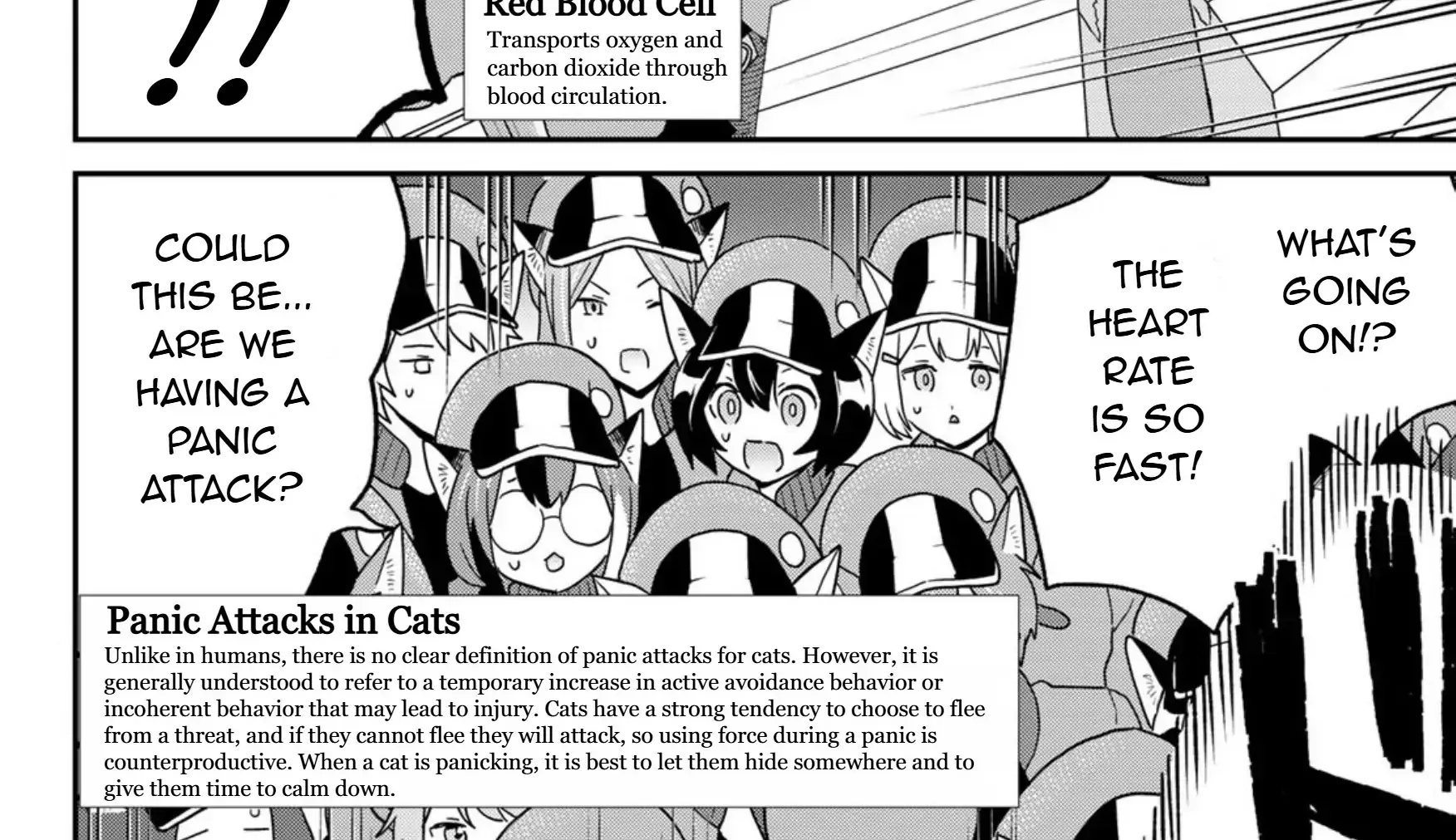 Read Cells at Work! Cat chapter 21 image 15 on Lezhin