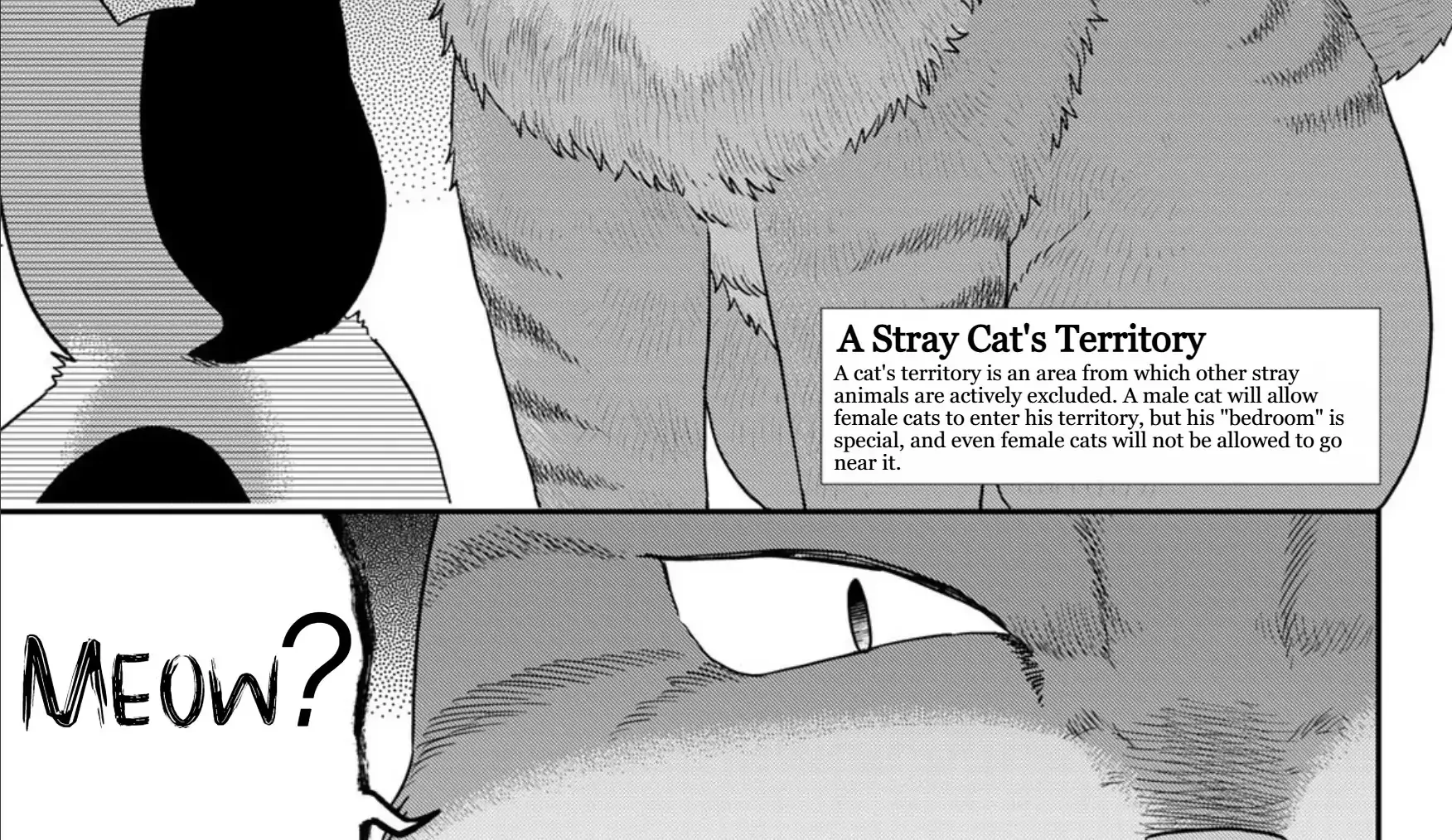 Read Cells at Work! Cat chapter 21 image 21 on Lezhin