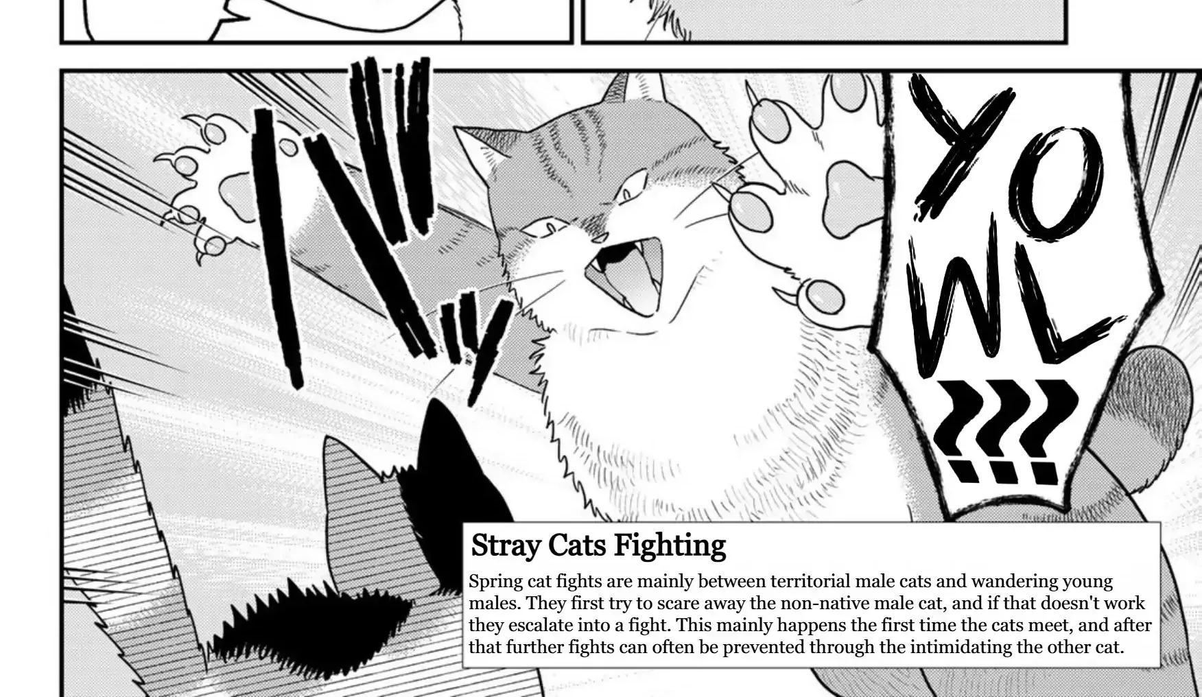 Read Cells at Work! Cat chapter 21 image 23 on Lezhin