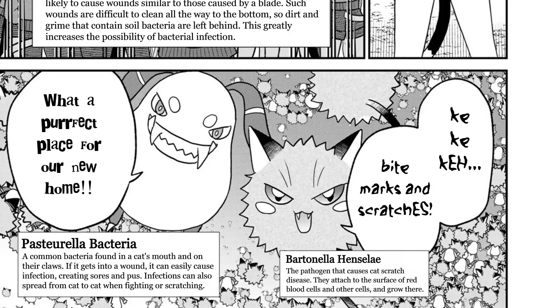 Read Cells at Work! Cat chapter 21 image 33 on Lezhin