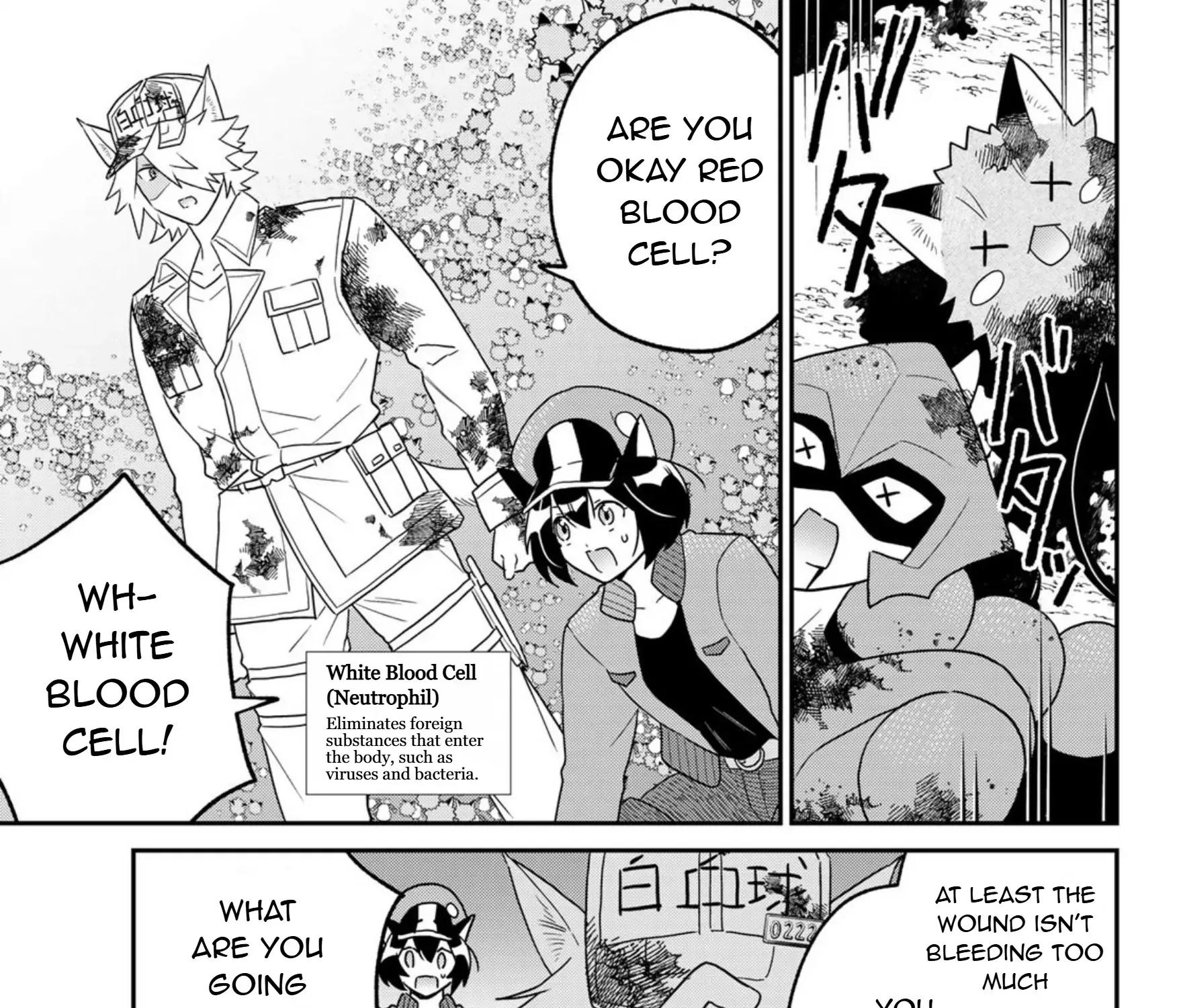 Read Cells at Work! Cat chapter 21 image 40 on Lezhin