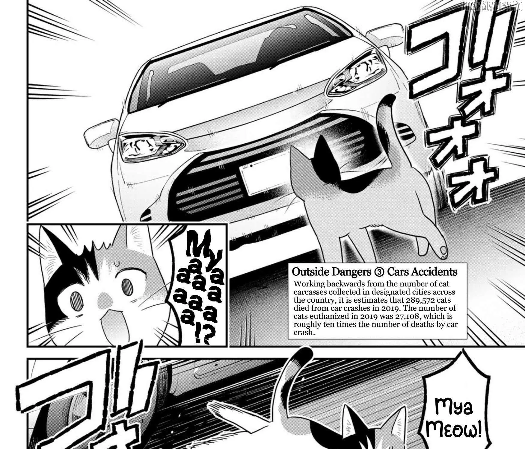 Read Cells at Work! Cat chapter 22 image 10 on Lezhin