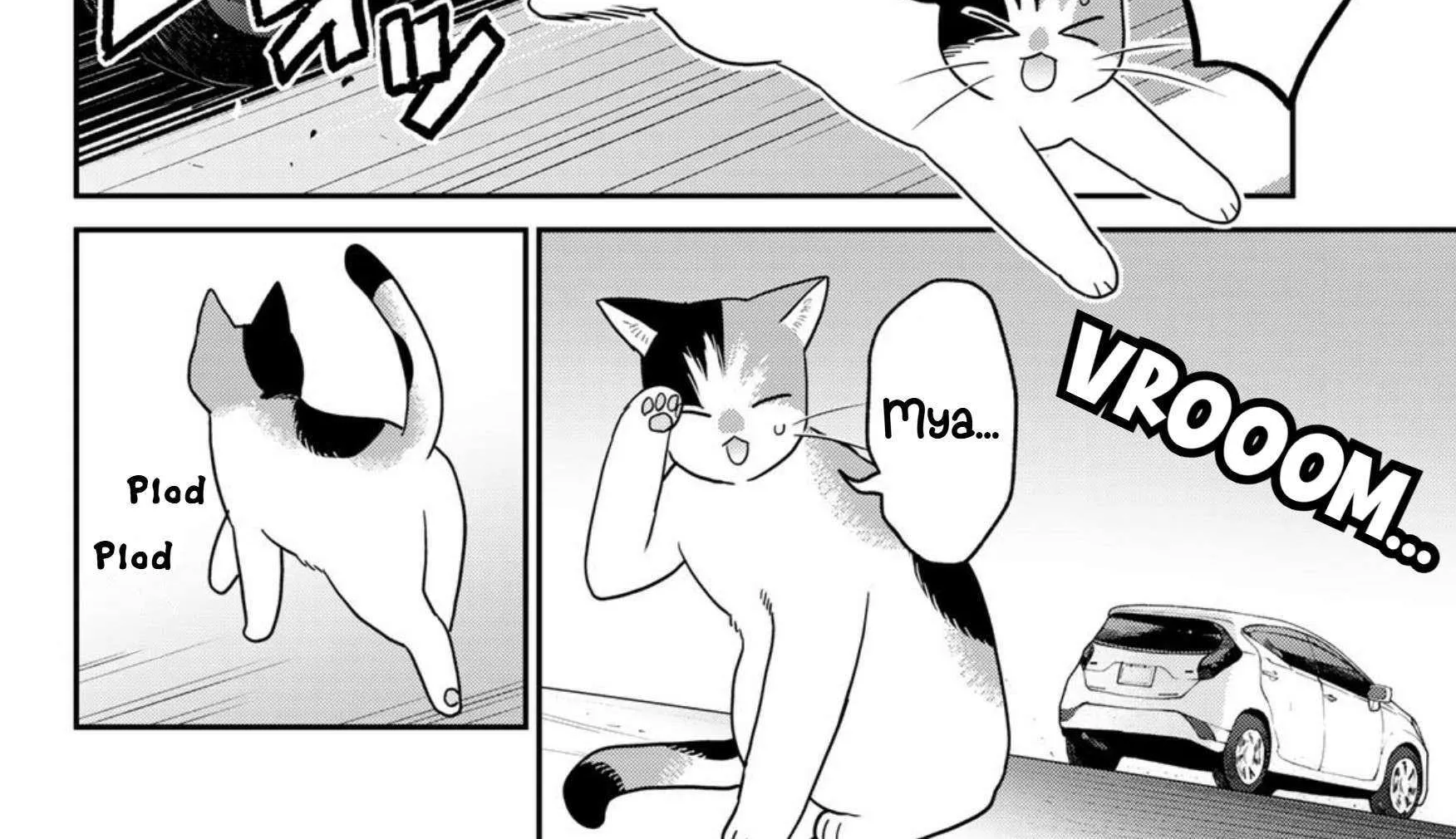Read Cells at Work! Cat chapter 22 image 11 on Lezhin