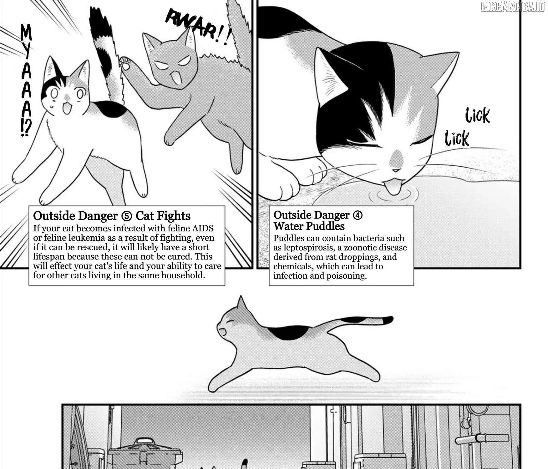 Read Cells at Work! Cat chapter 22 image 12 on Lezhin