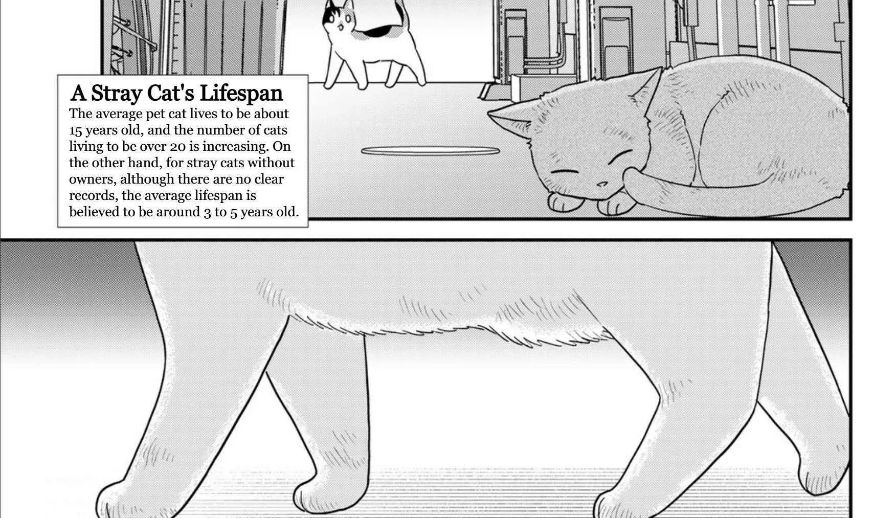Read Cells at Work! Cat chapter 22 image 13 on Lezhin
