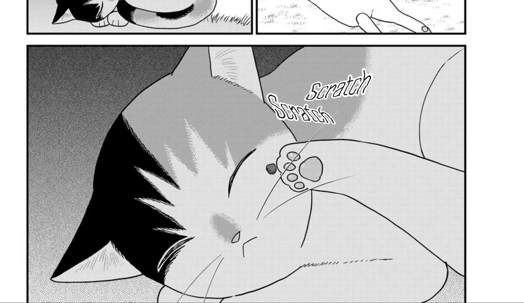 Read Cells at Work! Cat chapter 22 image 15 on Lezhin