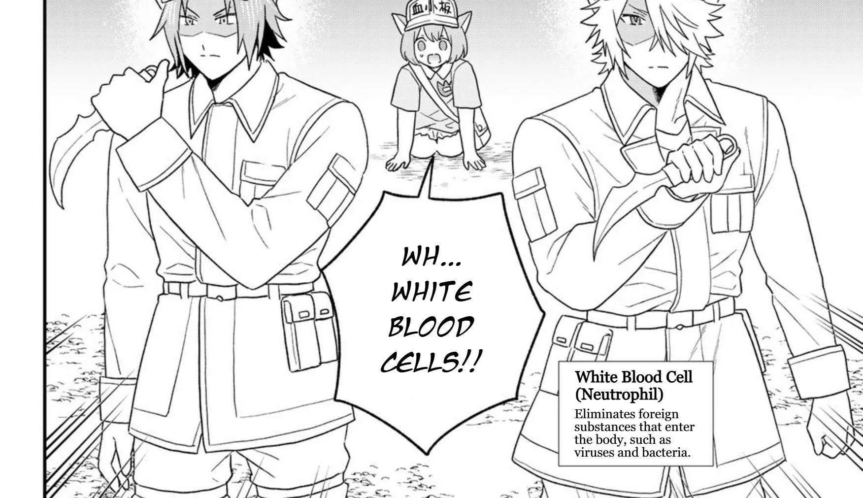Read Cells at Work! Cat chapter 22 image 25 on Lezhin